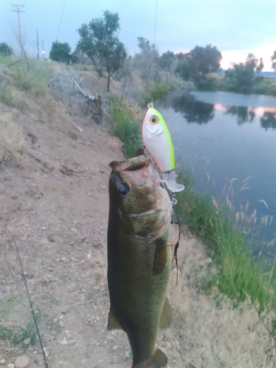 Customer photo review of TRUSCEND PoPobait with BKK Hooks, Top Water Whopper Plopper Fishing Lures for Bass Walleye Pike Catfish, Floating Lure for Freshwater or Saltwater Amazing Lures Fishing Gifts for Family Fishing [WM]