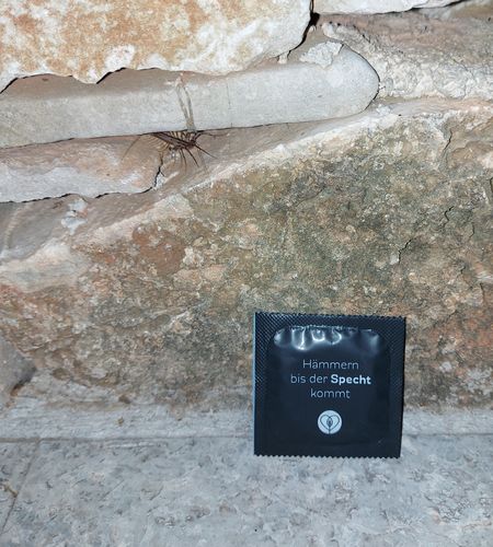 Customer photo review of Gehölz | 27 Kondome | 3x Releaf