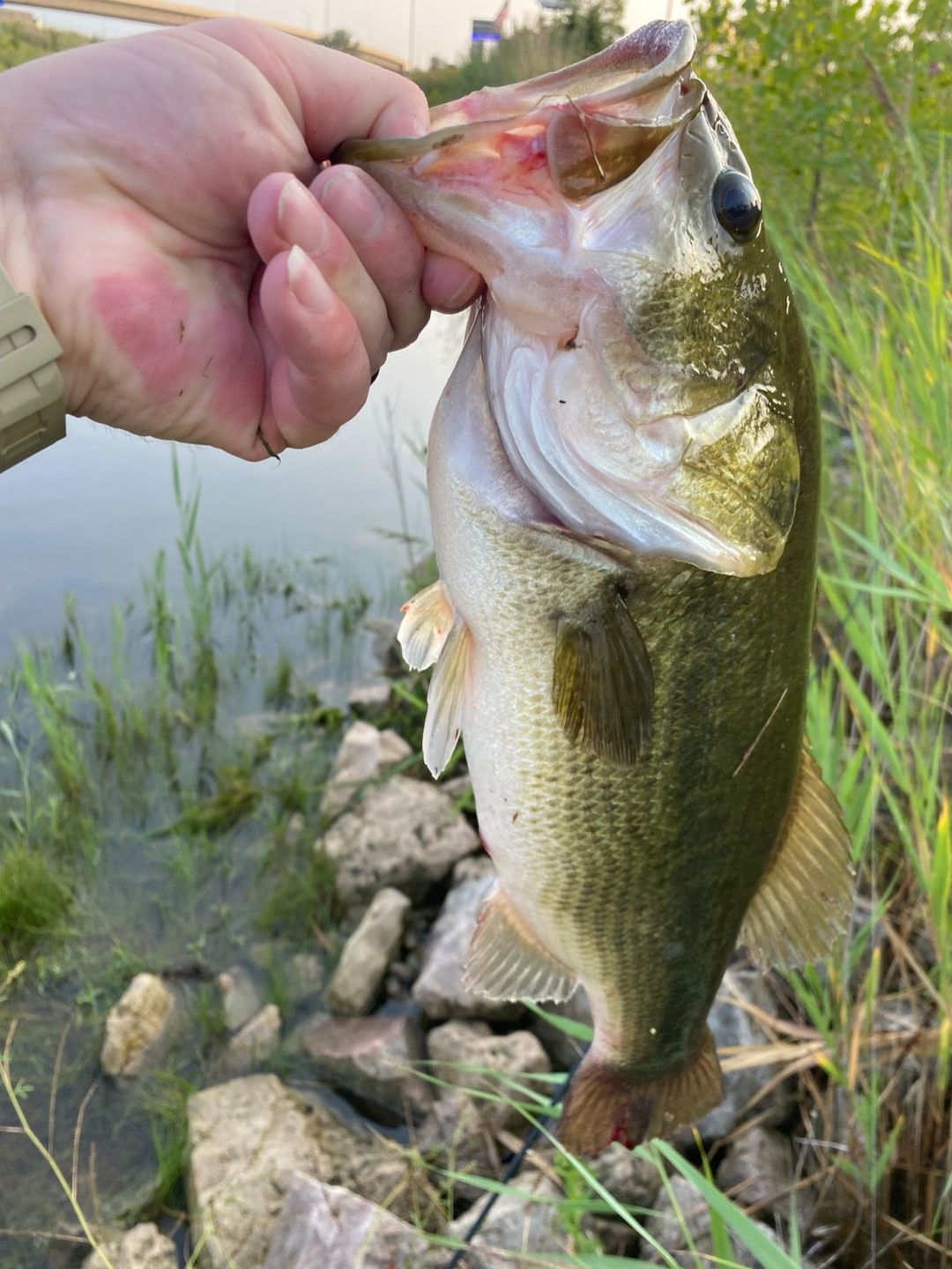 Customer photo review of TRUSCEND PoPobait with BKK Hooks, Top Water Whopper Plopper Fishing Lures for Bass Walleye Pike Catfish, Floating Lure for Freshwater or Saltwater Amazing Lures Fishing Gifts for Family Fishing [WM]