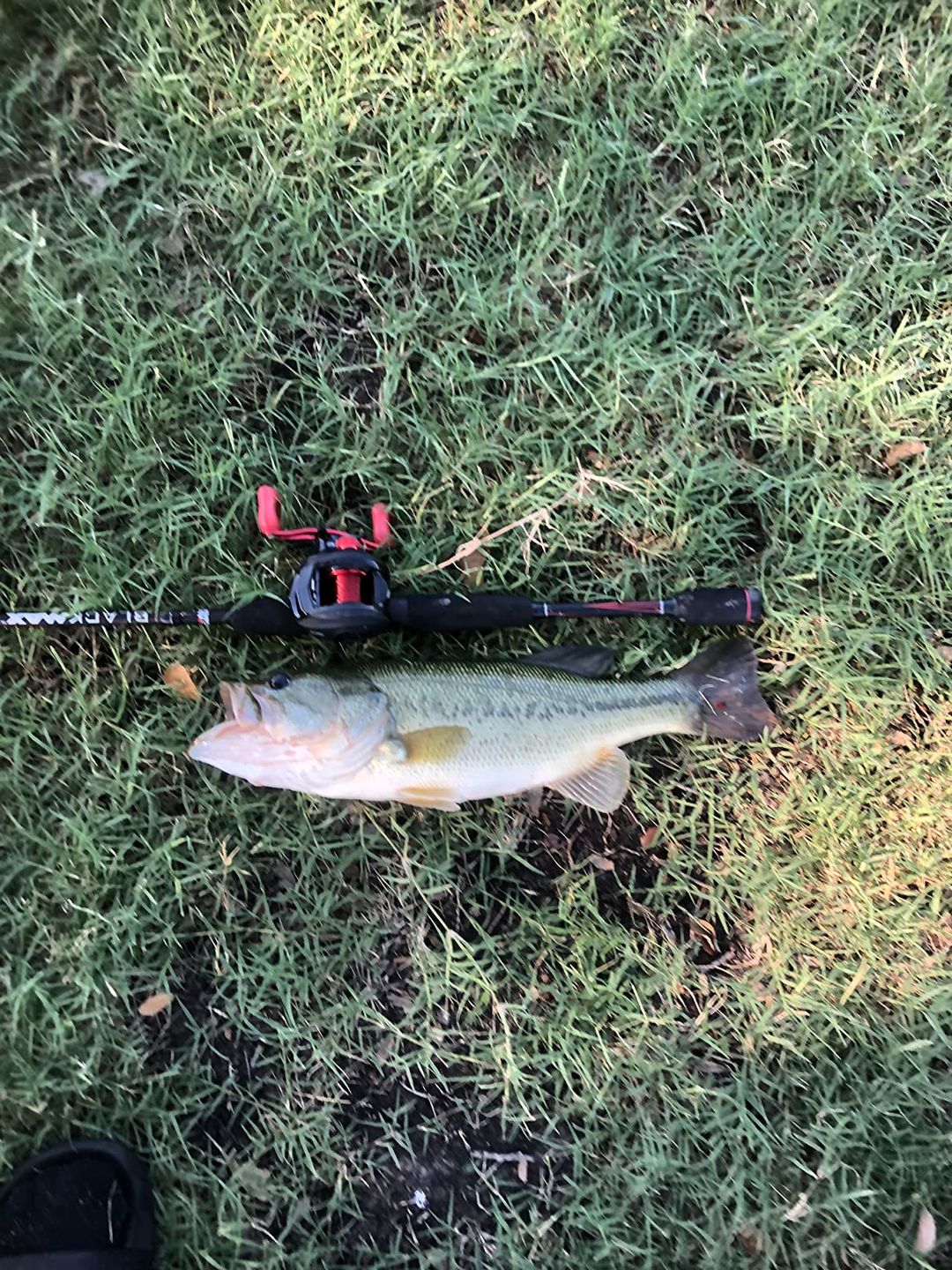 Customer photo review of Swimmax Fishing Lure | Eight-Segmented | BKK Hook |  Easy Catch | Rattling with Noise | Heavy-Duty Dyneema Fiber Joint | Jointed Swimbait for Bass & Trout & Crappie