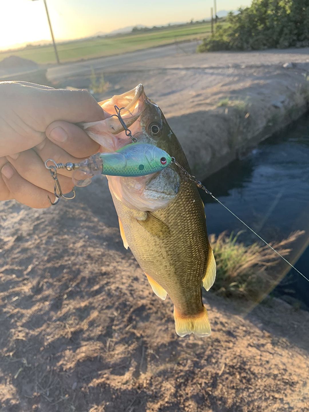 Customer photo review of TRUSCEND PoPobait with BKK Hooks, Top Water Whopper Plopper Fishing Lures for Bass Walleye Pike Catfish, Floating Lure for Freshwater or Saltwater Amazing Lures Fishing Gifts for Family Fishing [WM]