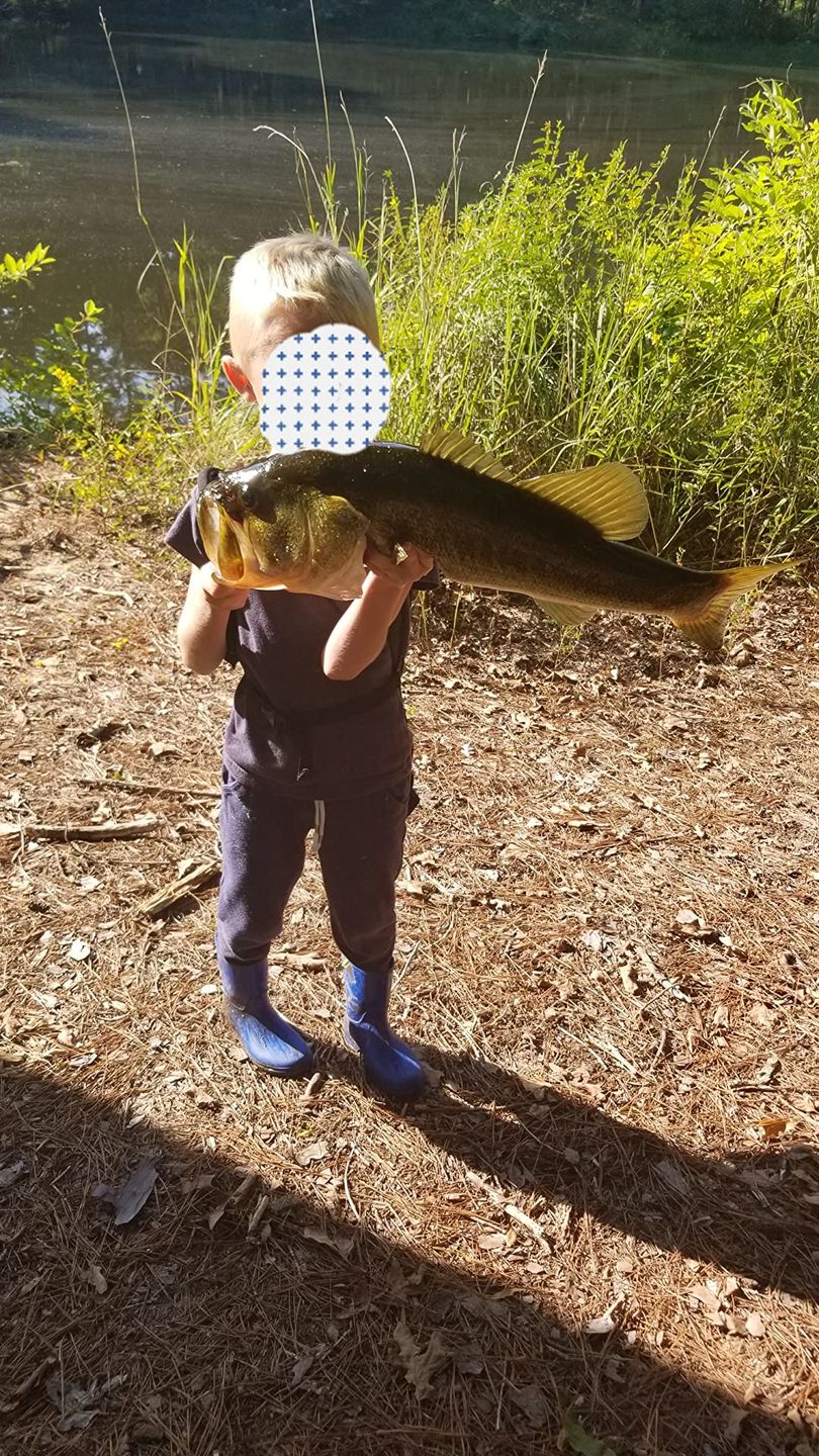 Customer photo review of Swimmax Fishing Lure | Eight-Segmented | BKK Hook |  Easy Catch | Rattling with Noise | Heavy-Duty Dyneema Fiber Joint | Jointed Swimbait for Bass & Trout & Crappie
