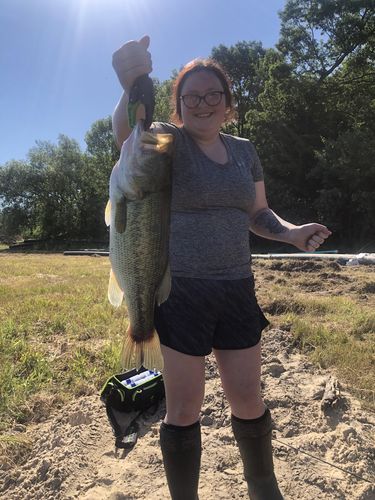 Customer photo review of Headbanger RockerHead 3-pack