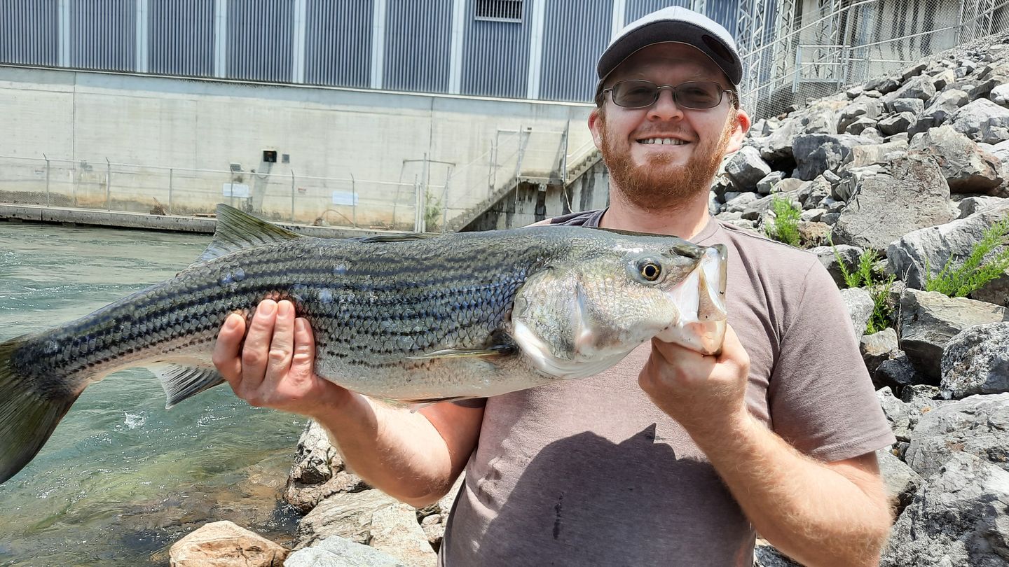 Customer photo review of Swimmax Fishing Lure | Eight-Segmented | BKK Hook |  Easy Catch | Rattling with Noise | Heavy-Duty Dyneema Fiber Joint | Jointed Swimbait for Bass & Trout & Crappie