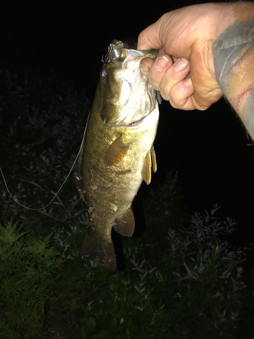 Customer photo review of TRUSCEND PoPobait with BKK Hooks, Top Water Whopper Plopper Fishing Lures for Bass Walleye Pike Catfish, Floating Lure for Freshwater or Saltwater Amazing Lures Fishing Gifts for Family Fishing [WM]