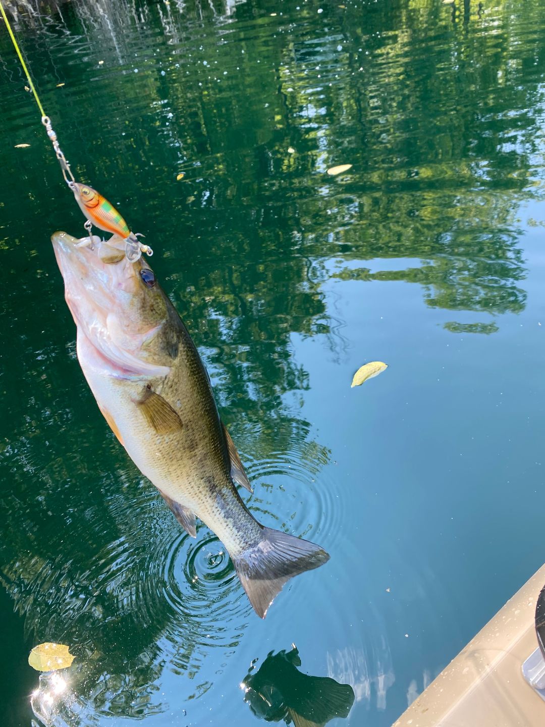 Customer photo review of TRUSCEND PoPobait with BKK Hooks, Top Water Whopper Plopper Fishing Lures for Bass Walleye Pike Catfish, Floating Lure for Freshwater or Saltwater Amazing Lures Fishing Gifts for Family Fishing [WM]
