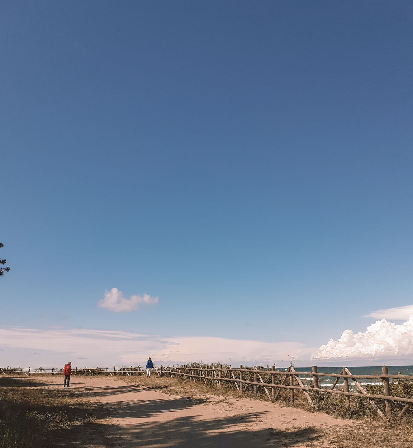 Customer photo review of CREAMY LIGHTROOM PRESETS