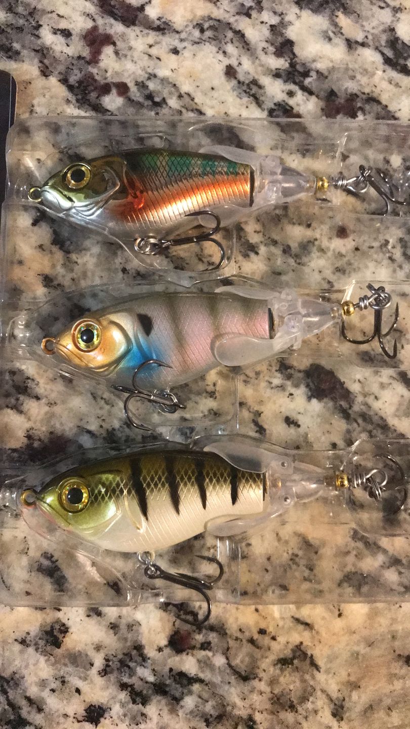 Customer photo review of TRUSCEND PoPobait with BKK Hooks, Top Water Whopper Plopper Fishing Lures for Bass Walleye Pike Catfish, Floating Lure for Freshwater or Saltwater Amazing Lures Fishing Gifts for Family Fishing [WM]