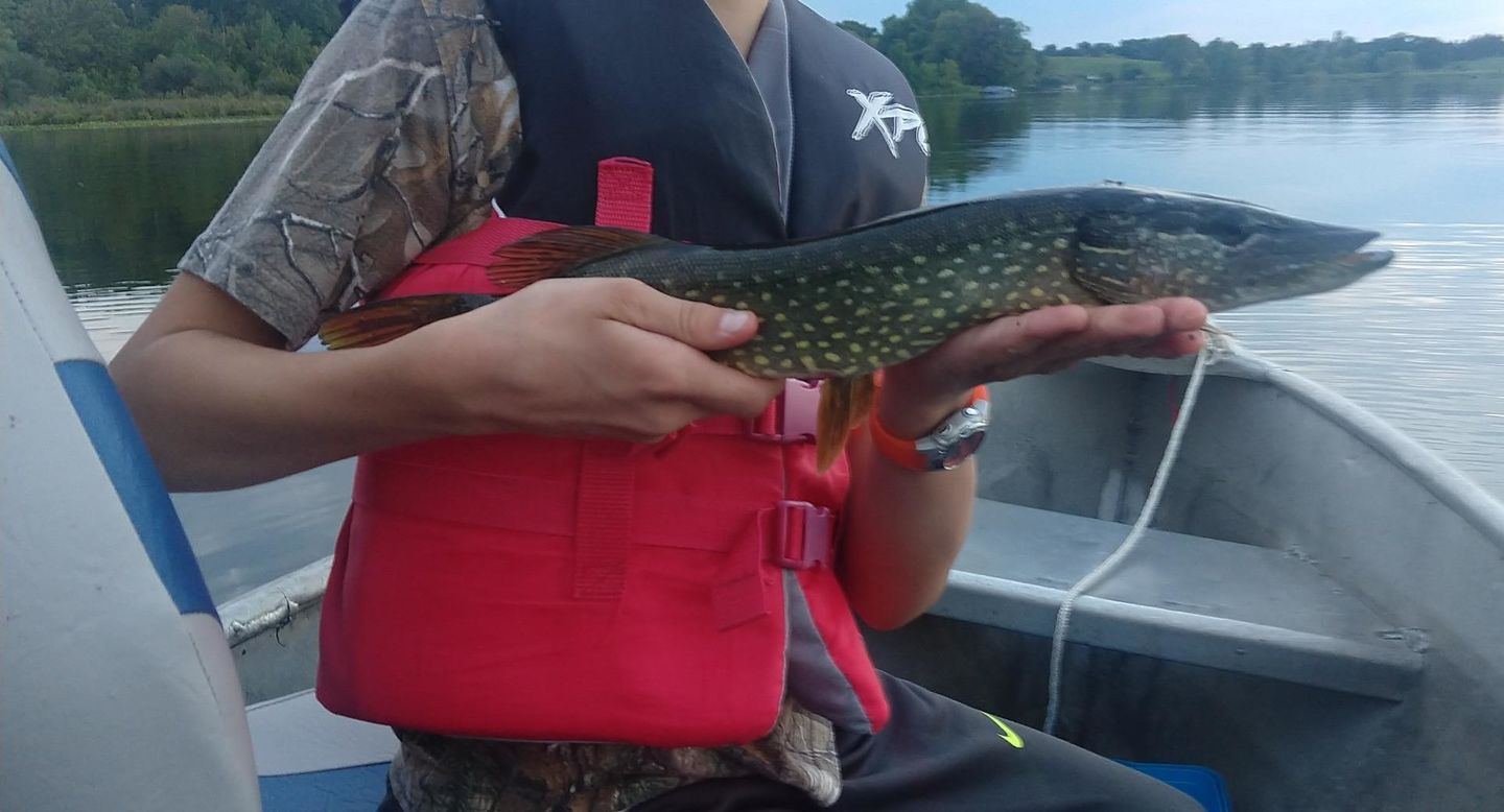 Customer photo review of Swimmax Fishing Lure | Eight-Segmented | BKK Hook |  Easy Catch | Rattling with Noise | Heavy-Duty Dyneema Fiber Joint | Jointed Swimbait for Bass & Trout & Crappie