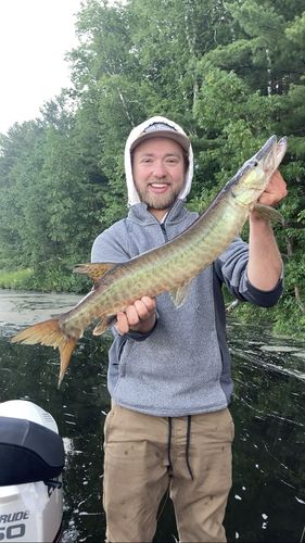 Customer photo review of Headbanger Spitfire 6.5"