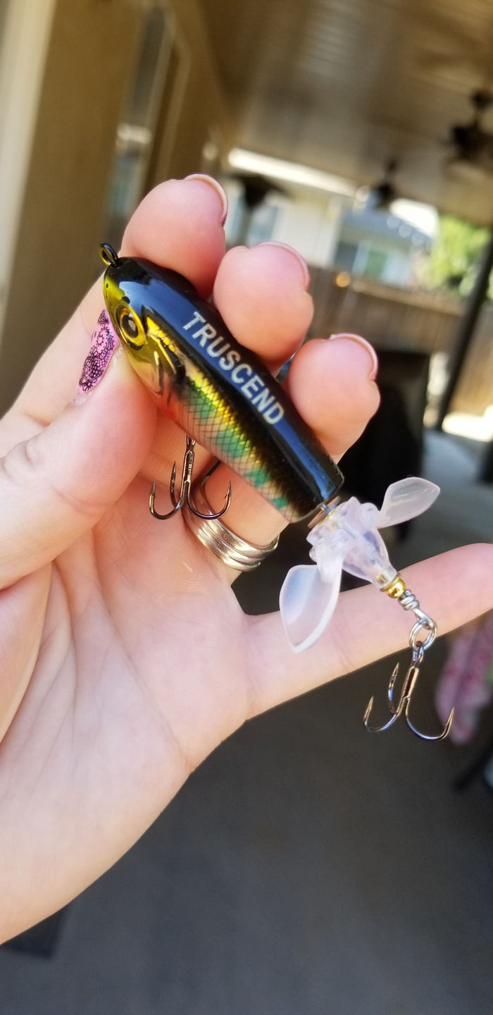 Customer photo review of TRUSCEND PoPobait with BKK Hooks, Top Water Whopper Plopper Fishing Lures for Bass Walleye Pike Catfish, Floating Lure for Freshwater or Saltwater Amazing Lures Fishing Gifts for Family Fishing [WM]