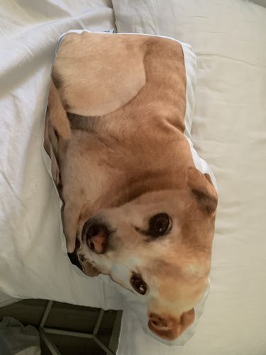 Customer photo review of Create A Custom Dog Pillow