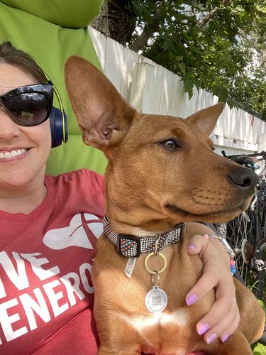 Customer photo review of Explorer