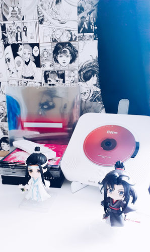 Customer photo review of ASTRONORD™ CD Player