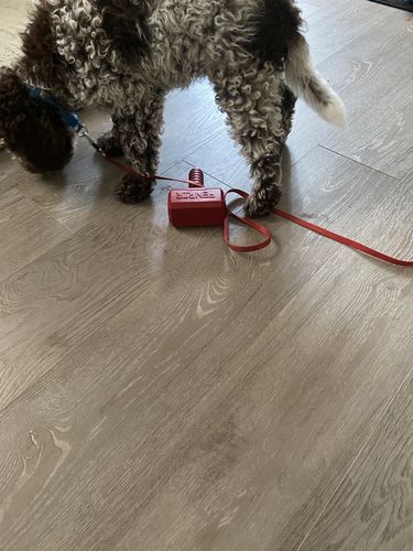 Customer photo review of The Fenrir Hammer