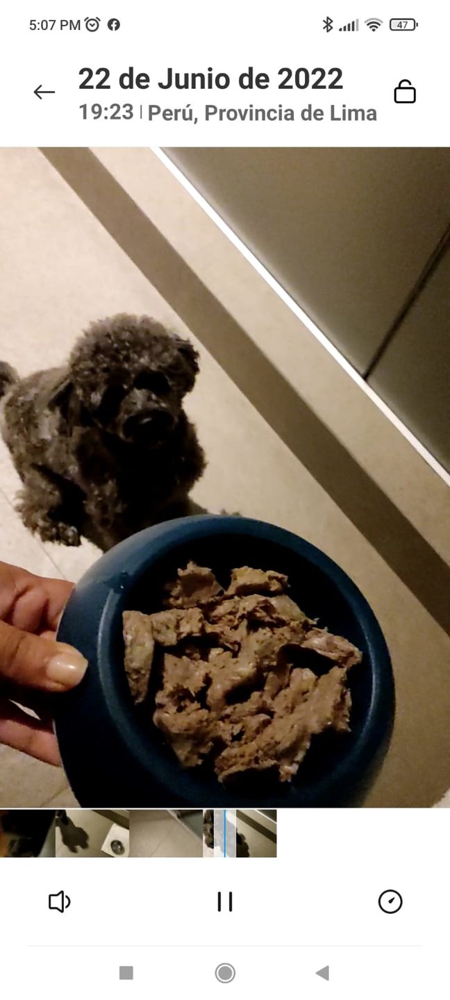 Customer photo review of Alimentación Natural - Barker Pollo