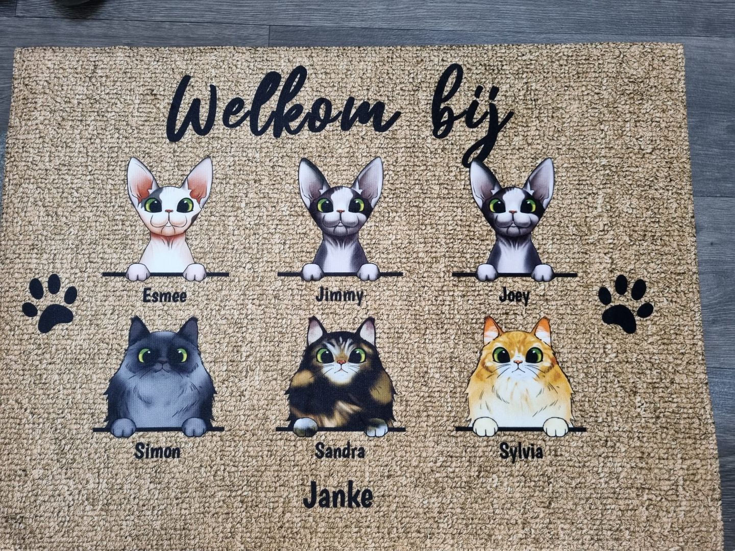Customer photo review of Welkom bij nieuwsgierige katten - Gepersonaliseerde deurmat