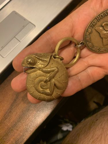 Customer photo review of Brass Chameleon Tape Measure