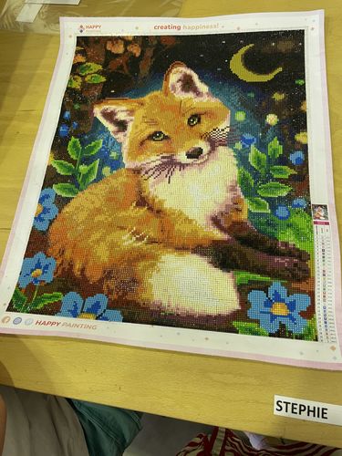 Kundenbewertung mit Foto zu Fuchs bei Nacht | Morgen zu Hause