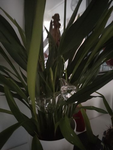 Customer photo review of Mon petit oiseau - Le Jardin de Mamie®