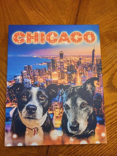 Customer photo review of 'Doggos Of Chicago' Personalized 2 Pet Canvas