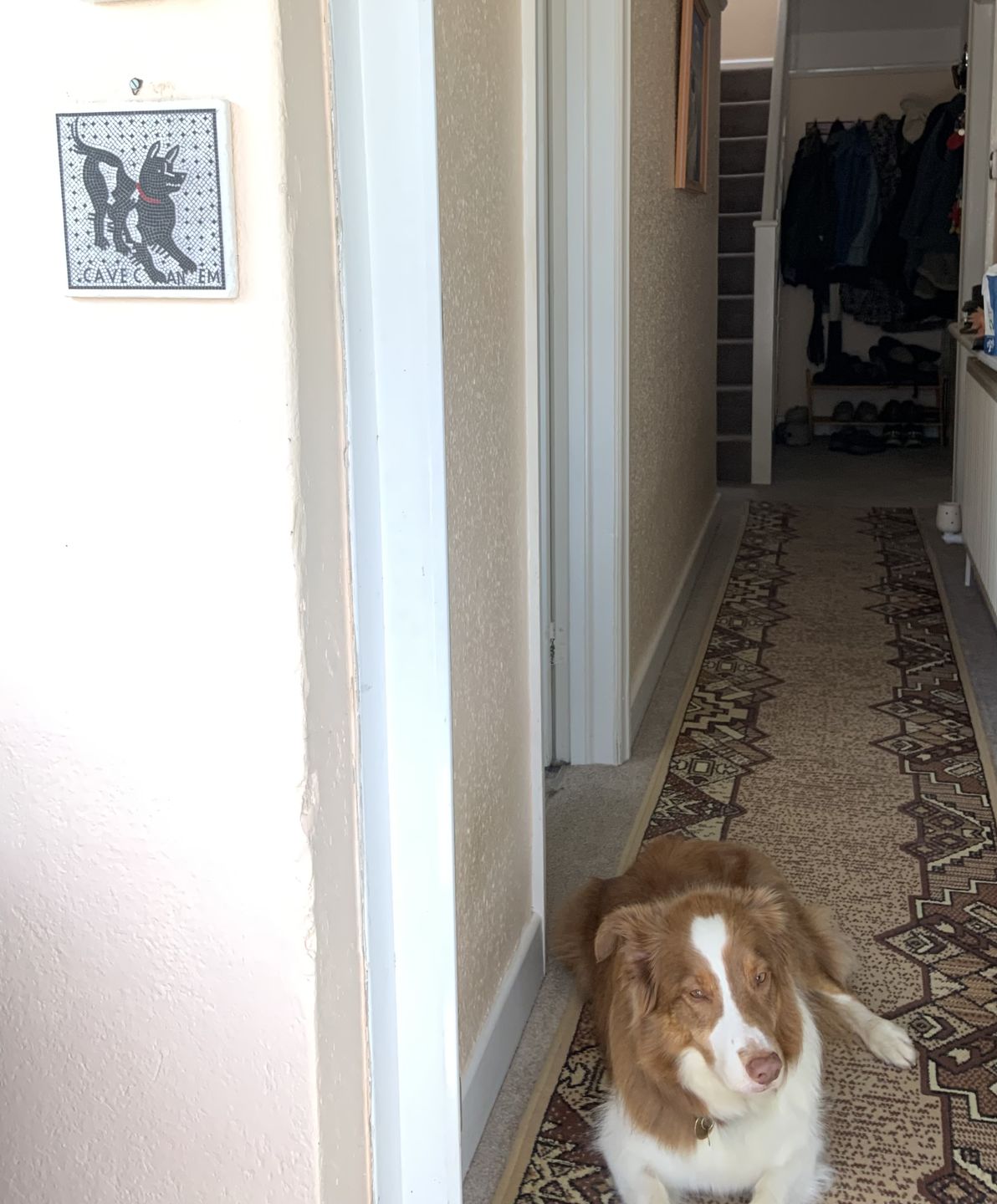 Customer photo review of Cave Canem mosaico di Pompei - mattonella in marmo