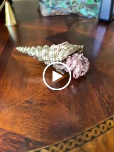 Customer video review of Bronze Hermit Crab Bottle Opener