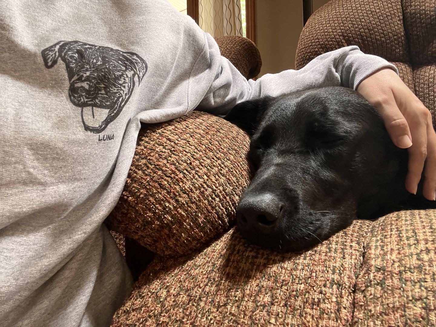 Customer photo review of Custom Pet Crewneck Sweater
