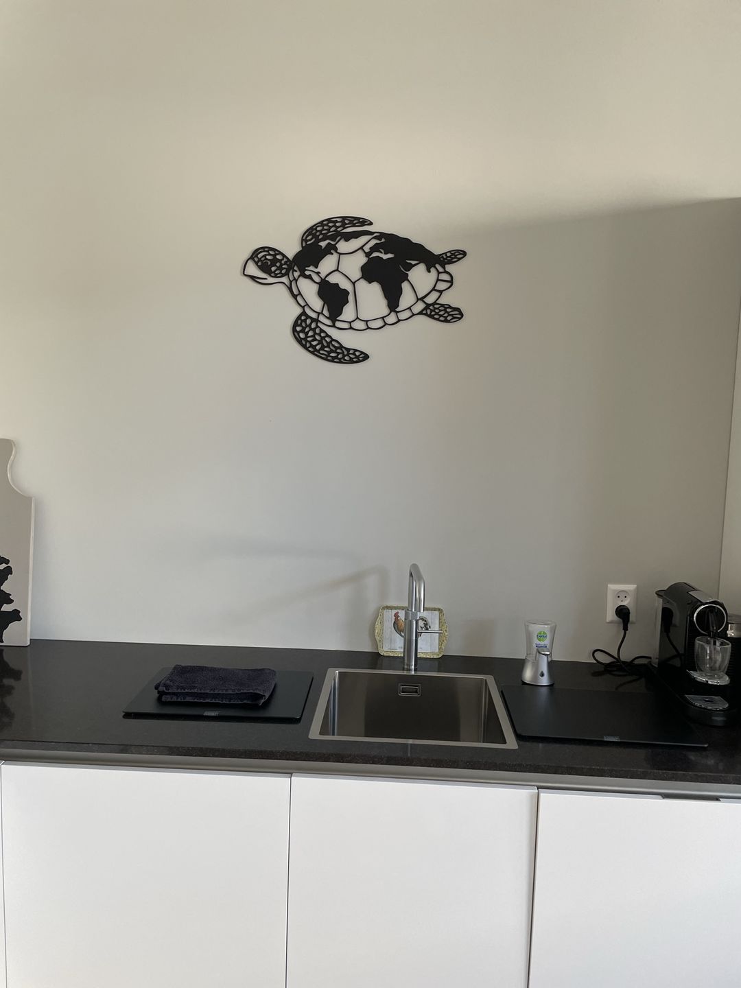 Customer photo review of Wanddecoratie dieren | Schildpad