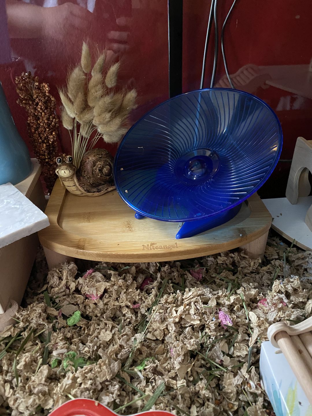 Customer photo review of Niteangel Anti-Slide Hamster Wheel Platform - Fits Super-Silent Hamster Wheel | Acrylic Wheel | Wooden Wheel | Cloud Series Hamster Wheel