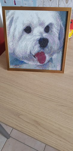 Customer photo review of Maltezer