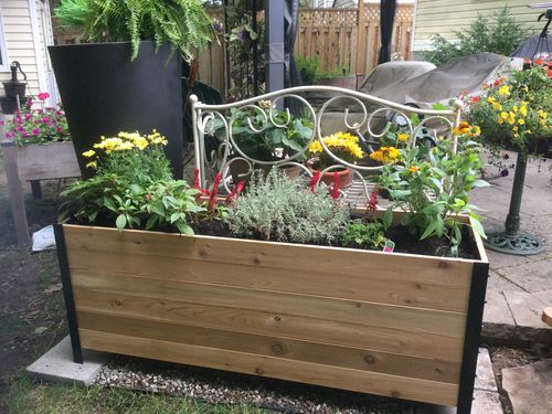 Customer photo review of 18" x 60" Planter Box - 24" Tall