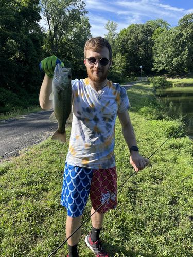 Customer photo review of Mesh Shorts - Beast