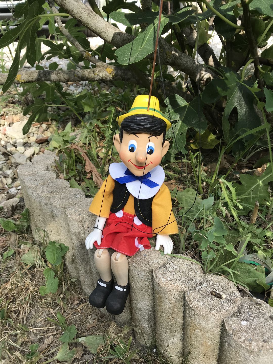 Customer photo review of Pinocchio Marionnette