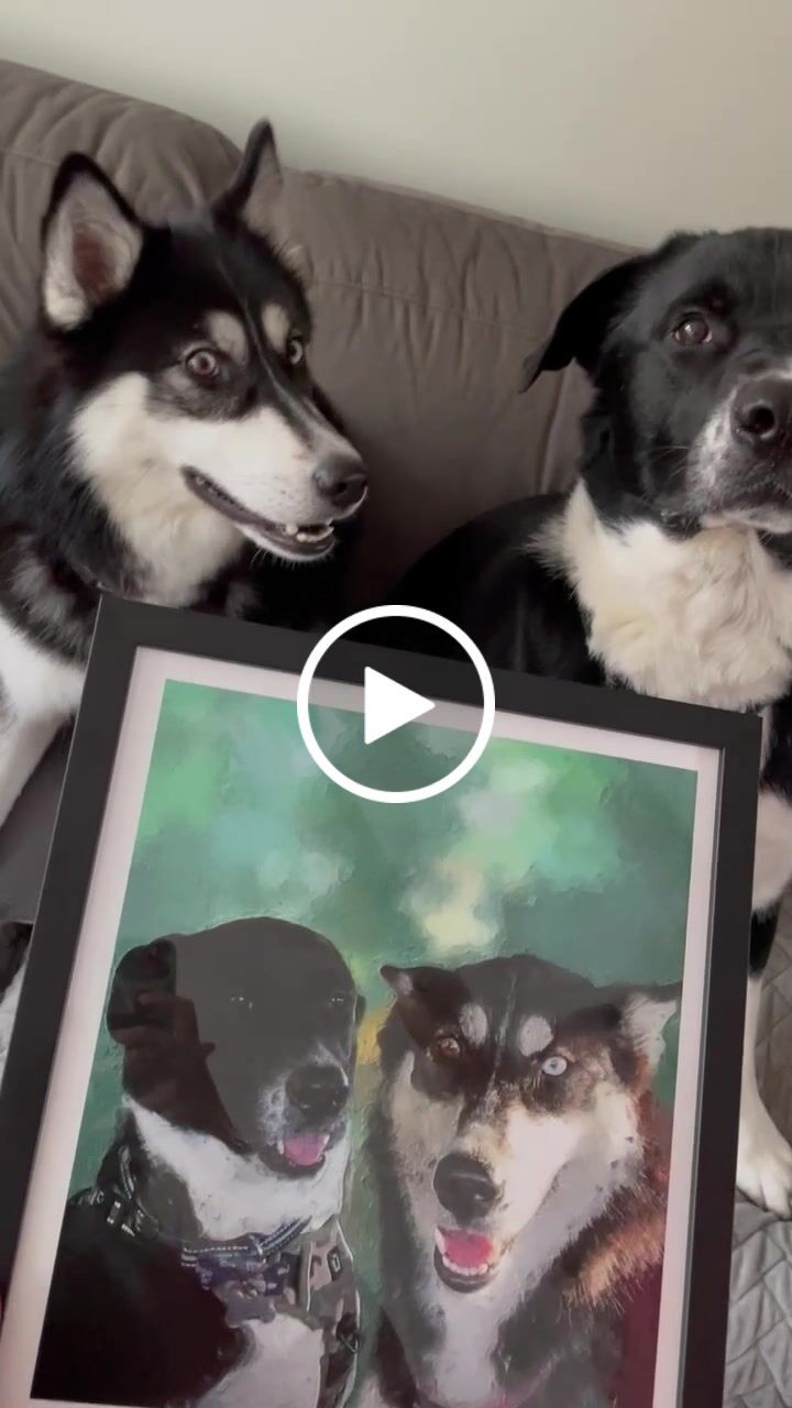 Customer video review of Custom Pet Portrait