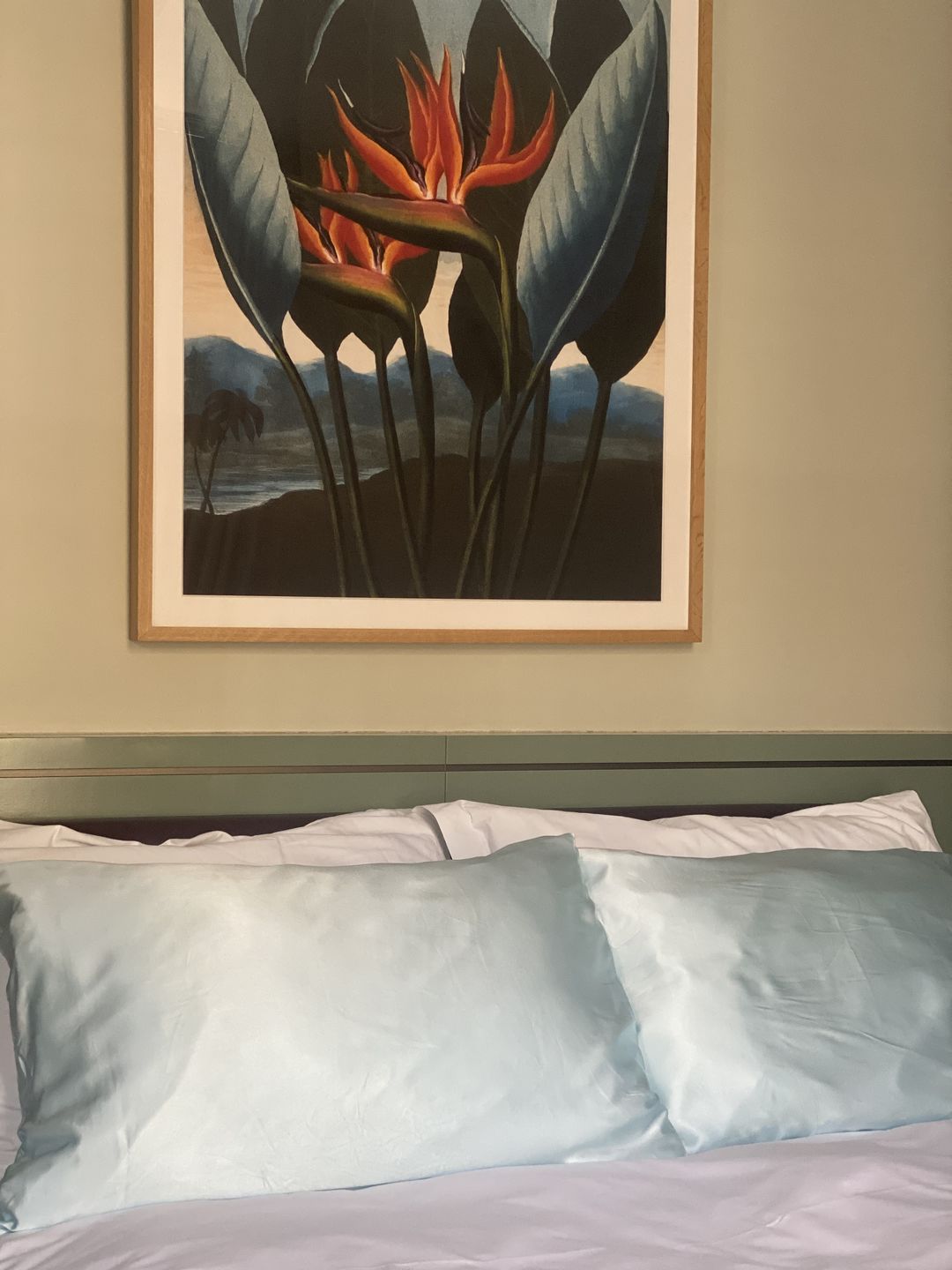Customer photo review of Teal Breeze Pure Silk Pillowcase