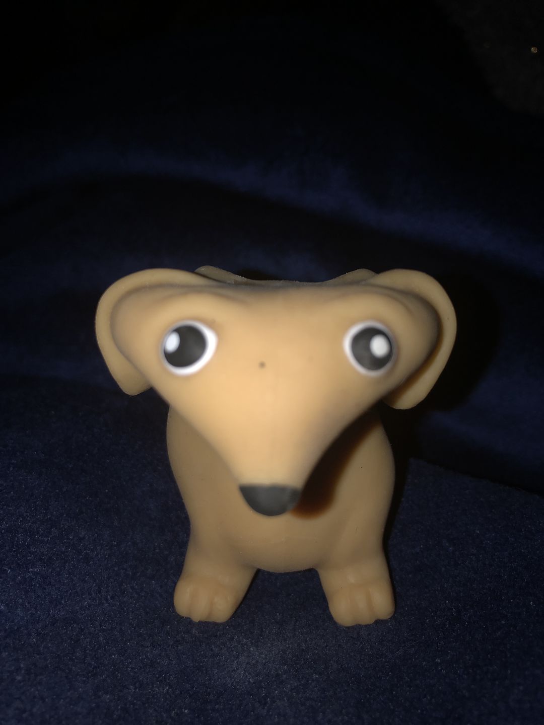 Customer photo review of Stretchy Dachshund Sausage Dog