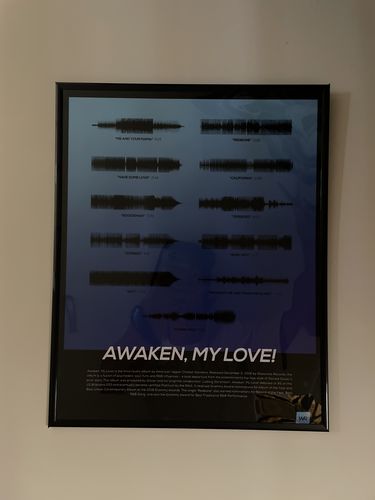 Customer photo review of "Awaken, My Love!"