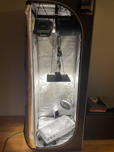 Customer photo review of 2x2 Indoor Grow Tent Kit, AC Infinity 1 Plant Kit