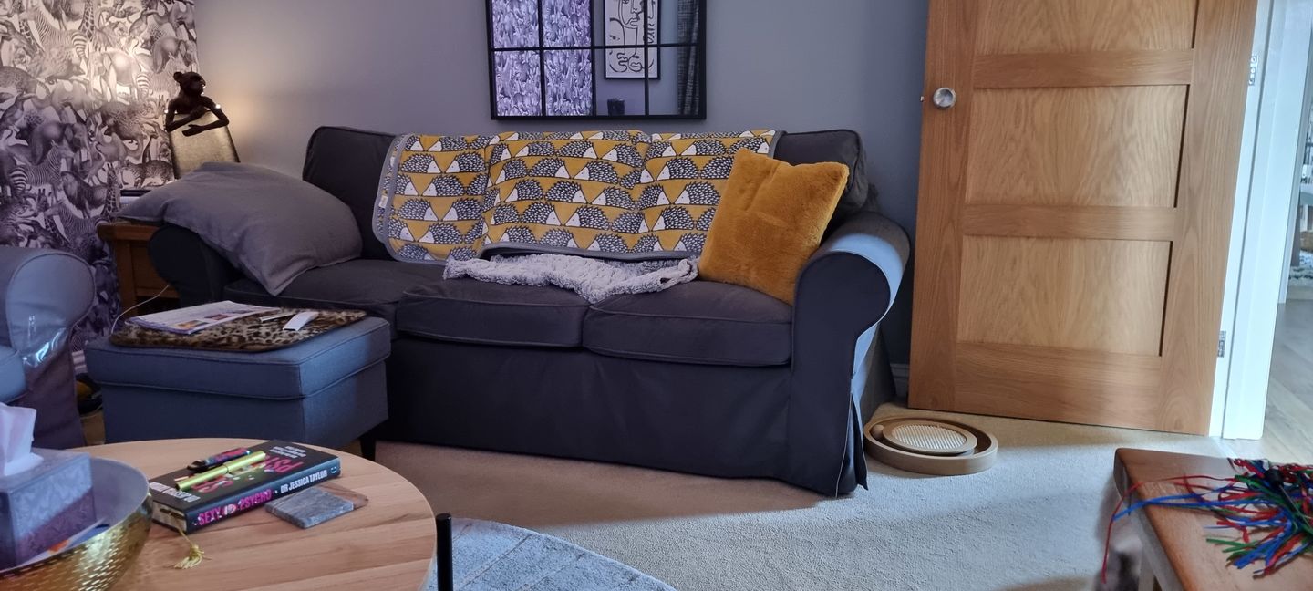 Customer photo review of EKTORP 3 Seat IKEA Sofa Cover