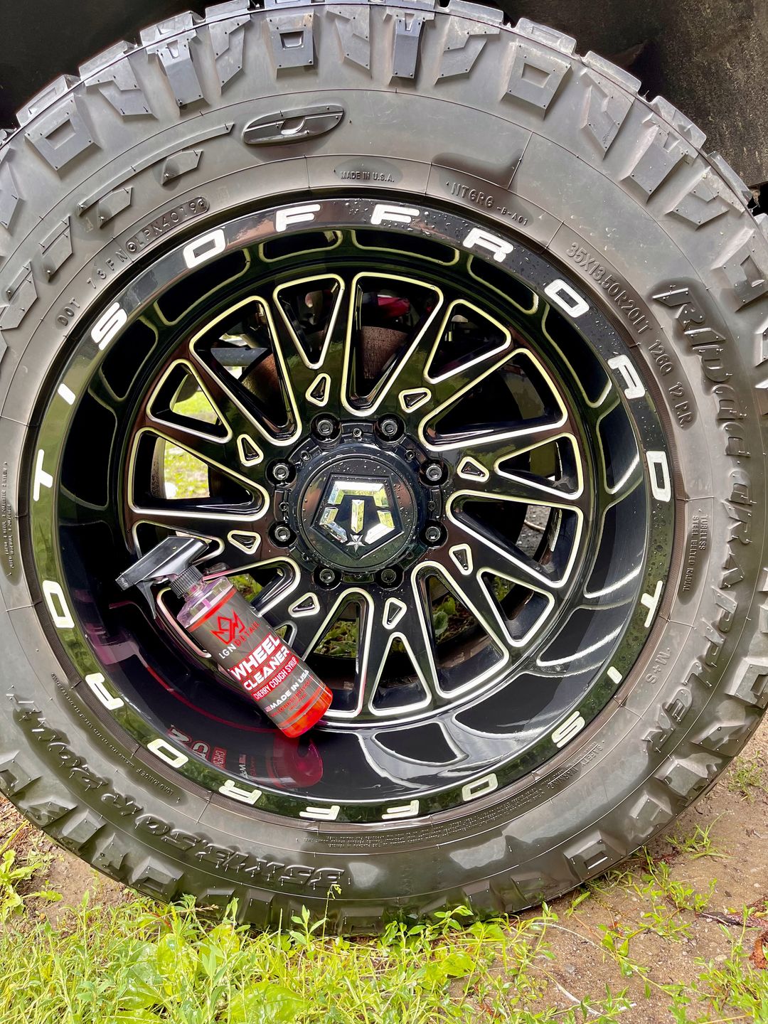 Customer photo review of Wheel Cleaner
