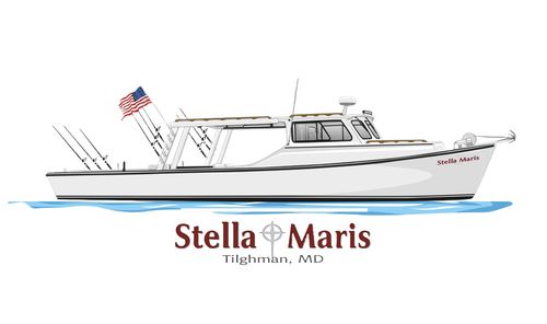 Customer photo review of Custom Digital Boat Artwork