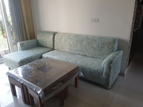 Customer photo review of Elastic Couch Cover