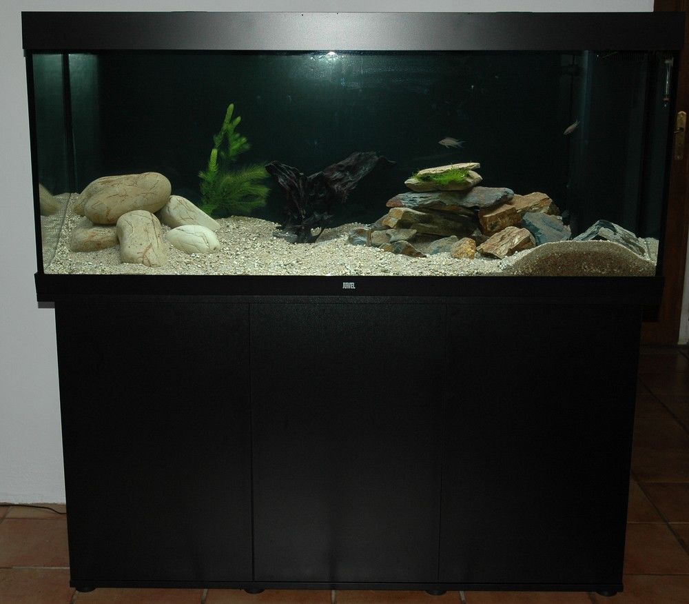 Customer photo review of Aquarium Rio 450 LED Noir Équipé JUWEL - 450L