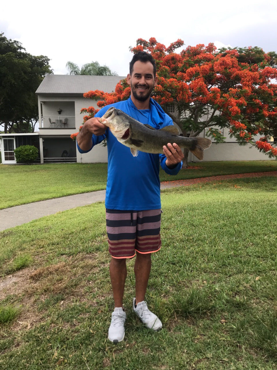 Customer photo review of Swimmax Fishing Lures | Six-Segmented | BKK Hook | Rattling Gurgling | Heavy-Duty Dyneema Fiber | 3 Pcs | For Bass & Trout & Walleye & Crappie