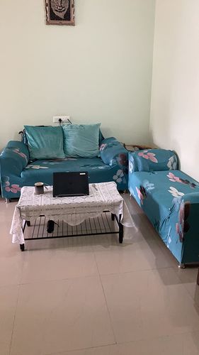 Customer photo review of Elastic Couch Cover