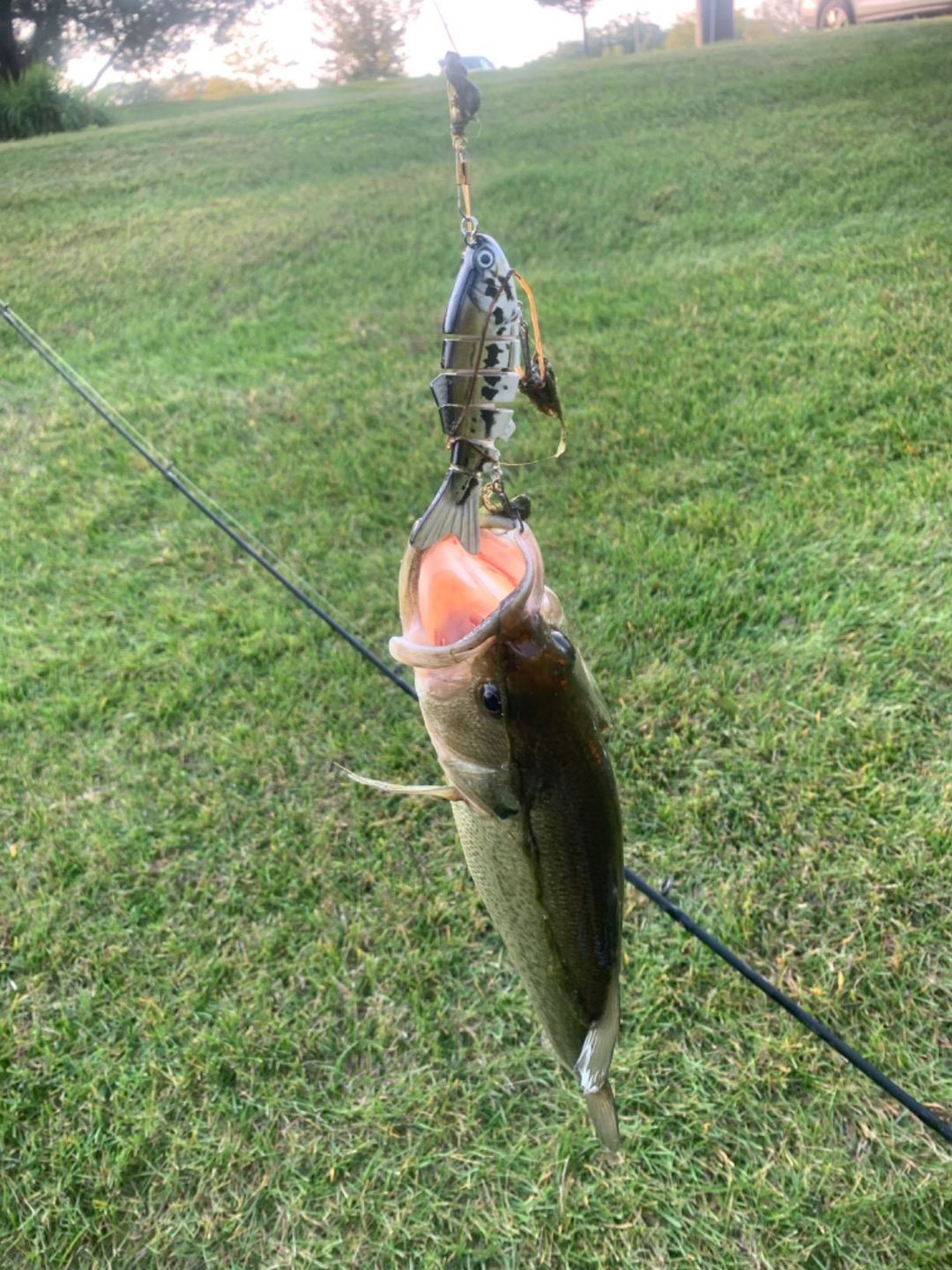 Customer photo review of Swimmax Fishing Lures | Six-Segmented | BKK Hook | Rattling Gurgling | Heavy-Duty Dyneema Fiber | 3 Pcs | For Bass & Trout & Walleye & Crappie