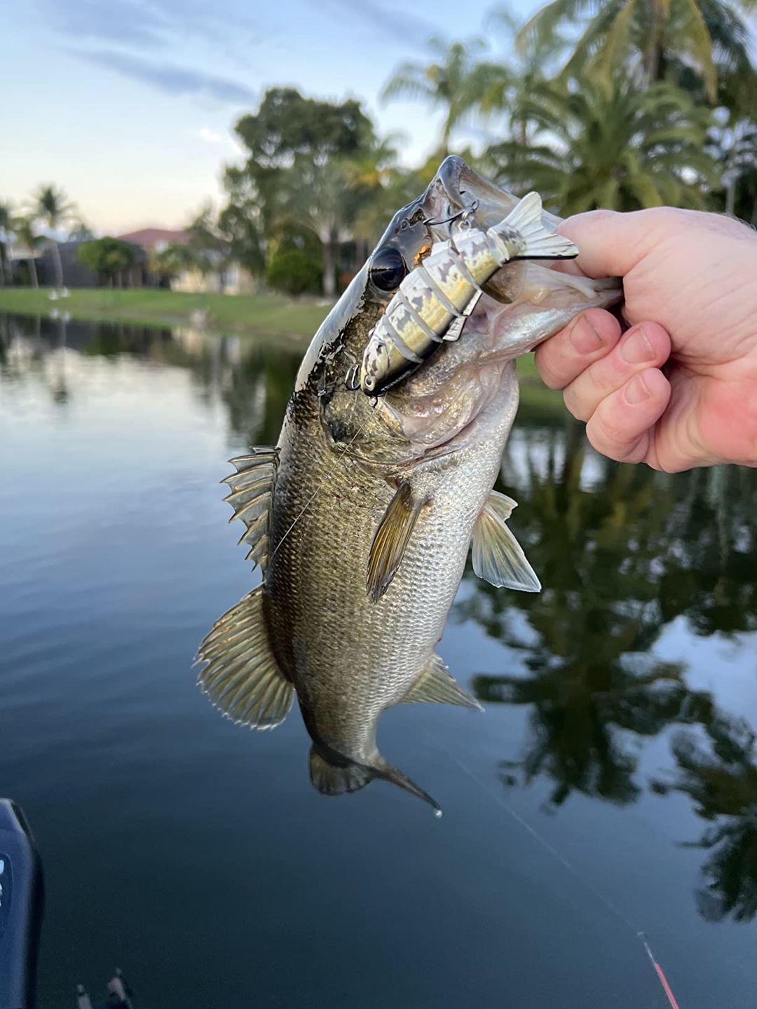 Customer photo review of Swimmax Fishing Lures | Six-Segmented | BKK Hook | Rattling Gurgling | Heavy-Duty Dyneema Fiber | 3 Pcs | For Bass & Trout & Walleye & Crappie