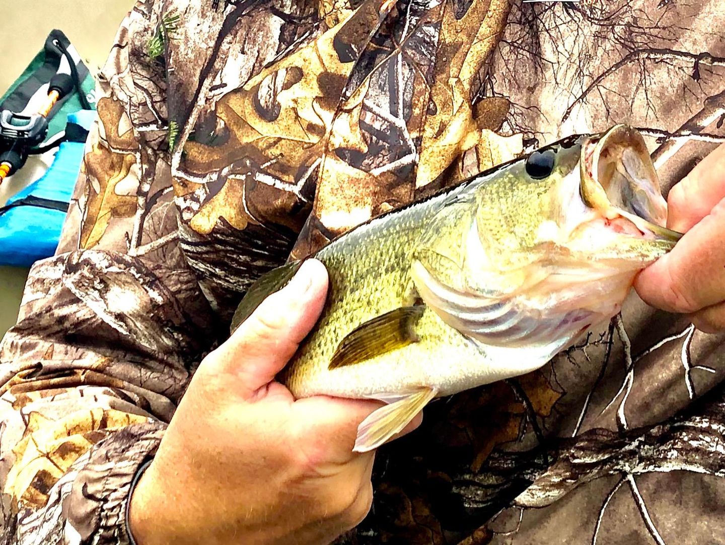 Customer photo review of Swimmax Fishing Lures | Six-Segmented | BKK Hook | Rattling Gurgling | Heavy-Duty Dyneema Fiber | 3 Pcs | For Bass & Trout & Walleye & Crappie