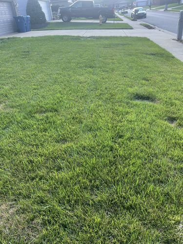 Customer photo review of GCI Turf Spreader Elite Grass Seed